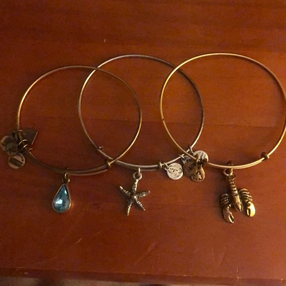 Alex and Ani Jewelry - Alex and ani bracelets
